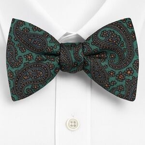 Robert Talbott Pure Silk Self-Tie Bow Tie – Paisley Pattern